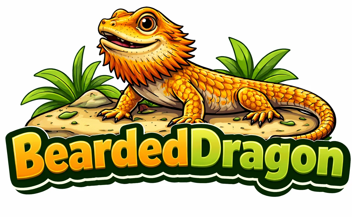 Bearded Dragon UK